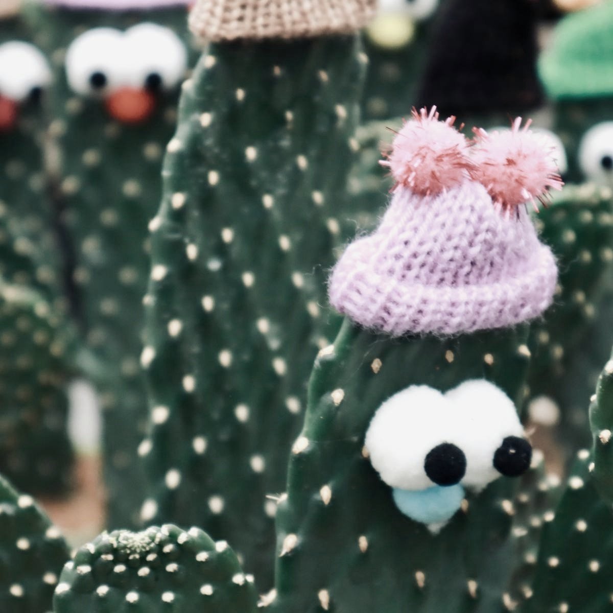 Wool Bucket Hat / ウールバケットハット